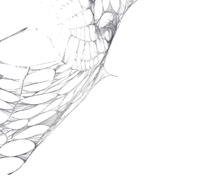 Magic Rust halloween spider web